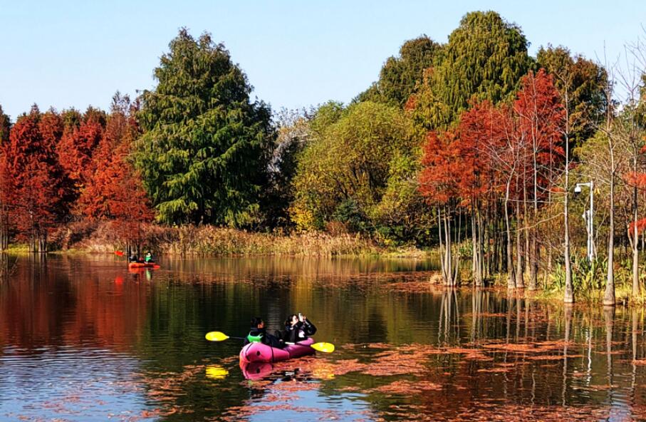 ����ֲ��԰��춬��