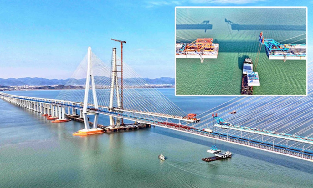 ������·��ɽ�ۿ纣���Ž����������ʱ