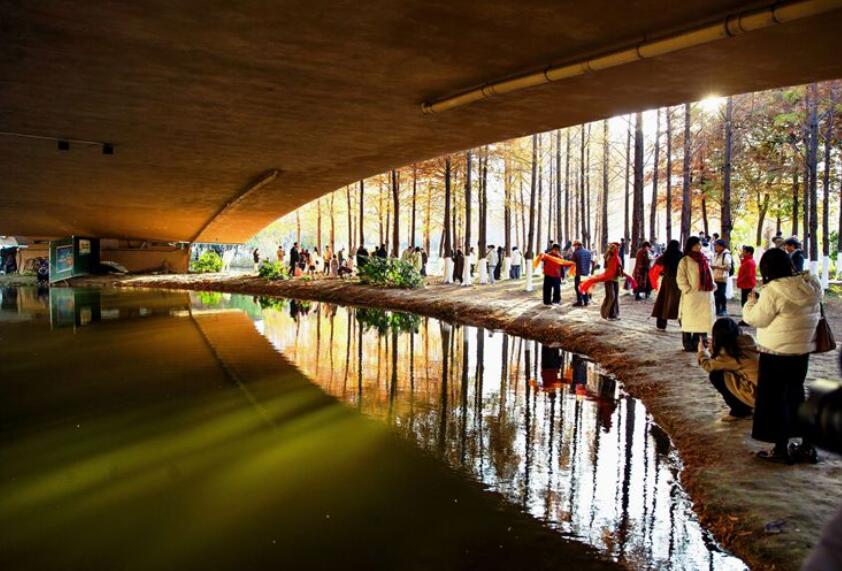 ۴�ݹ�԰��ɼ��