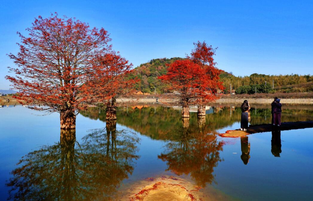 ̫���������ˮ���ɼ��