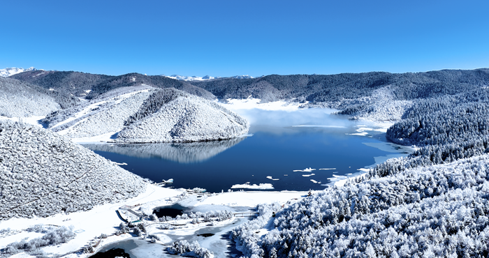 �����մ�붬���޶�����������