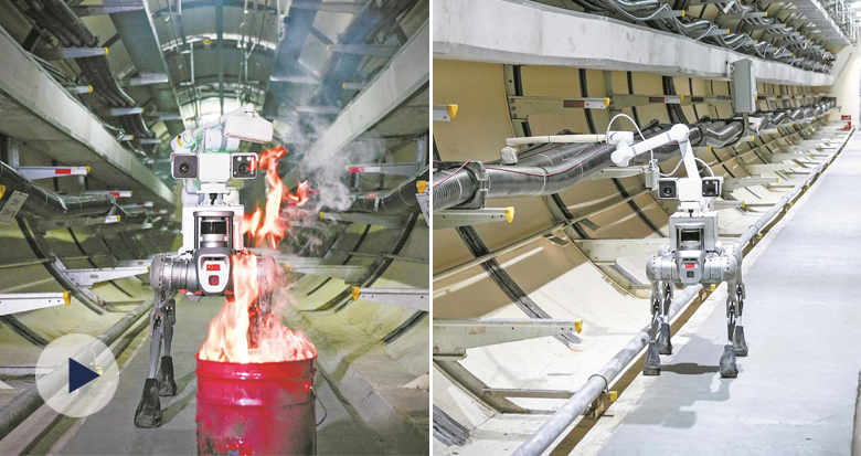 �����������ˡ������ػ��ӡ�