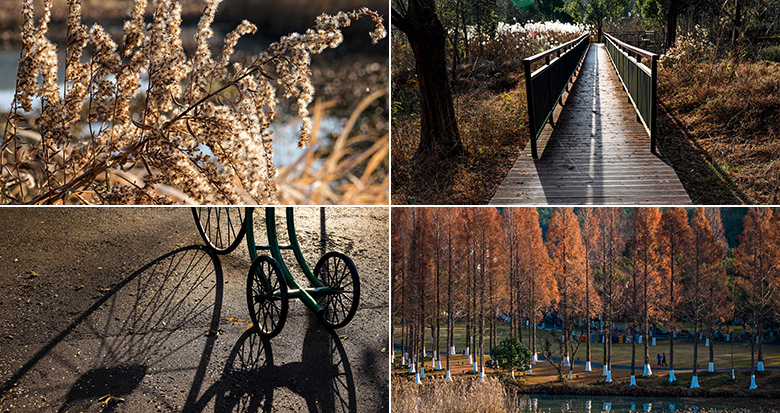 ��ɽʪ�ص��峿