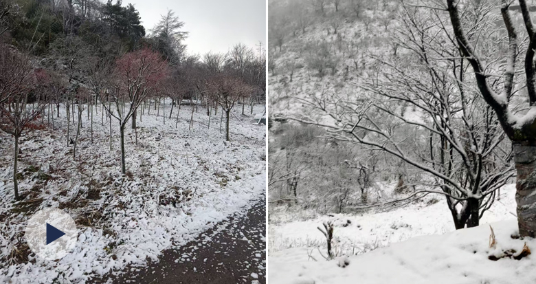 ���궬��ĵ�һ��ѩ����