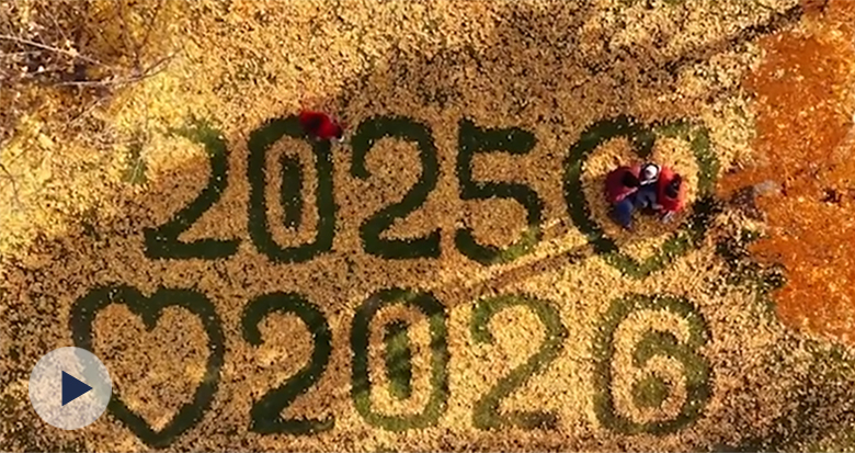 Ϊ�Լ��Ȳʣ�