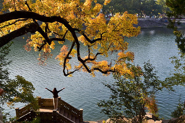 Ϫ��������