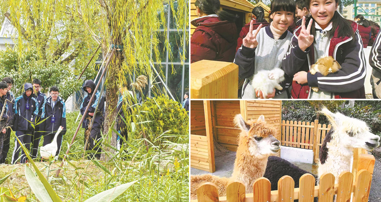 У԰������ë���׵ġ�TA��