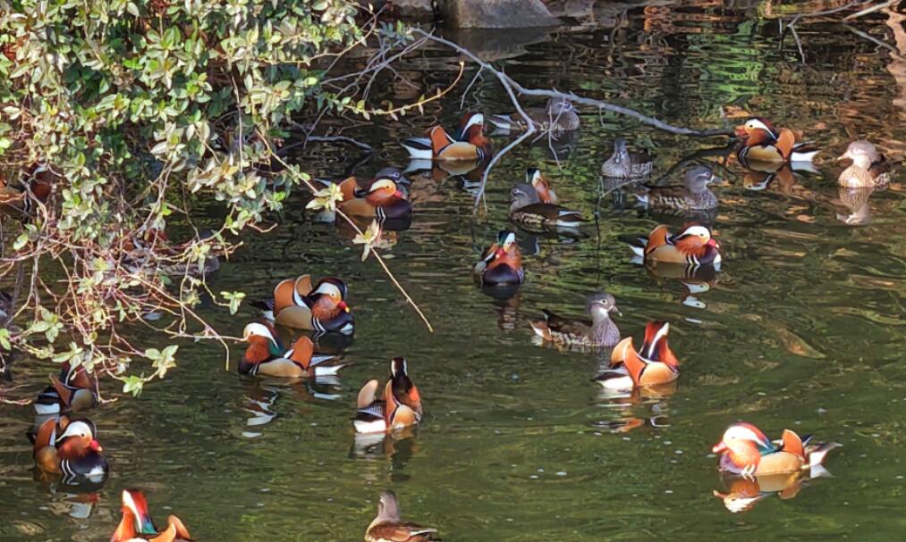 ����ݥ��ӭ��ǧ���ԧ��Խ��