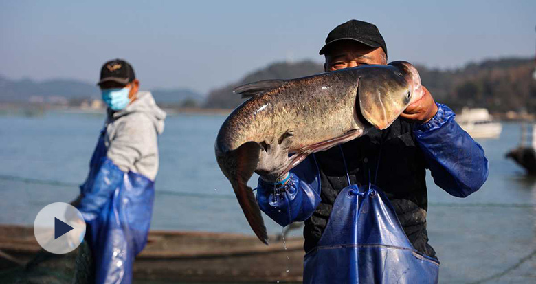 ֱ������Ǯ����������Ļ���������� ����ͷ�㡱����