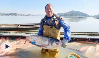 ��Ǯ����������Ļ