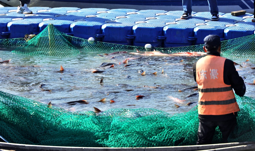 ��Ǯ��������Ļ