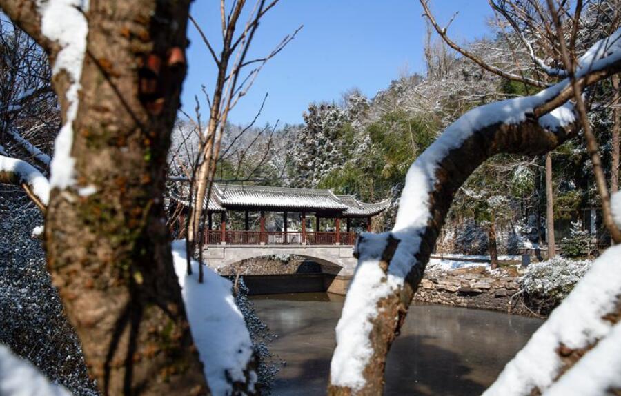 �����ڵ�ѩ