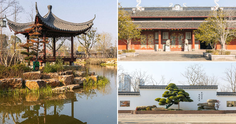 走!去新盆景园逛逛