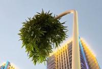 “竹坚强”穿透路灯杆向上生长 引众人打卡拍照