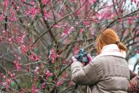 ��÷��Ȼ����