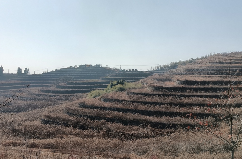 ��˿ᰣ�����ƶˣ�����ɽ����̨ɽ����