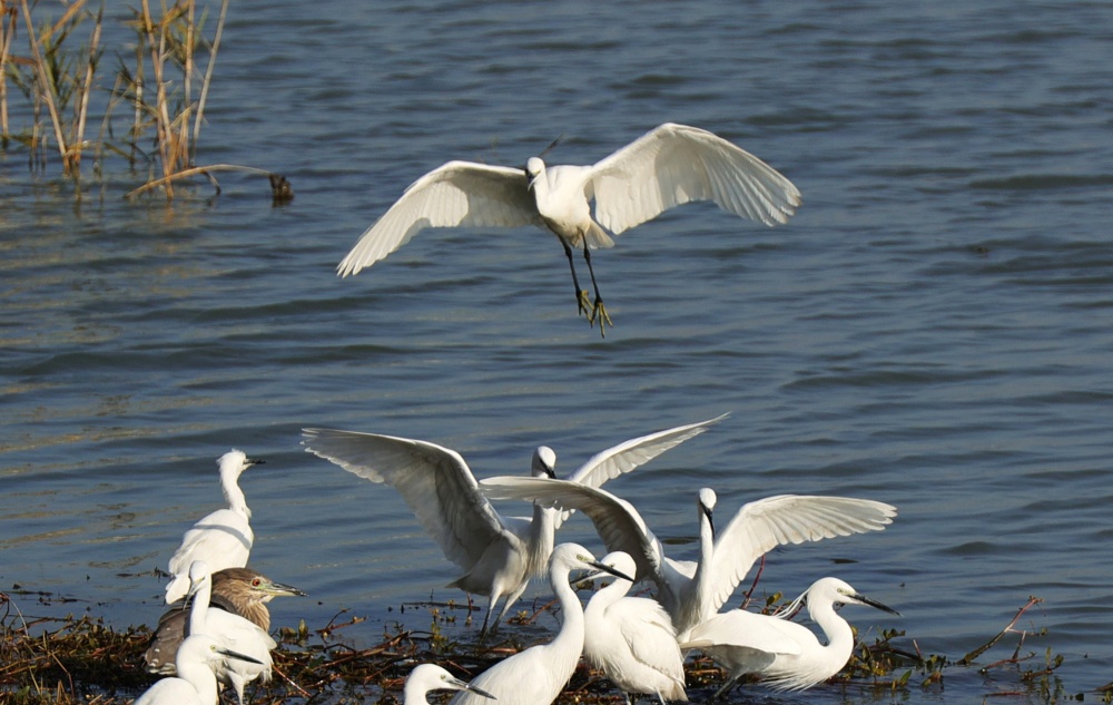 Ҧ����������������