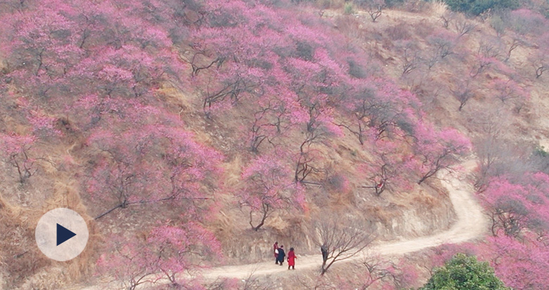 ��Ķ��÷������