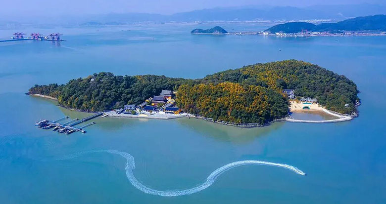 ������ɽ��������Ԥ�����ӭ��