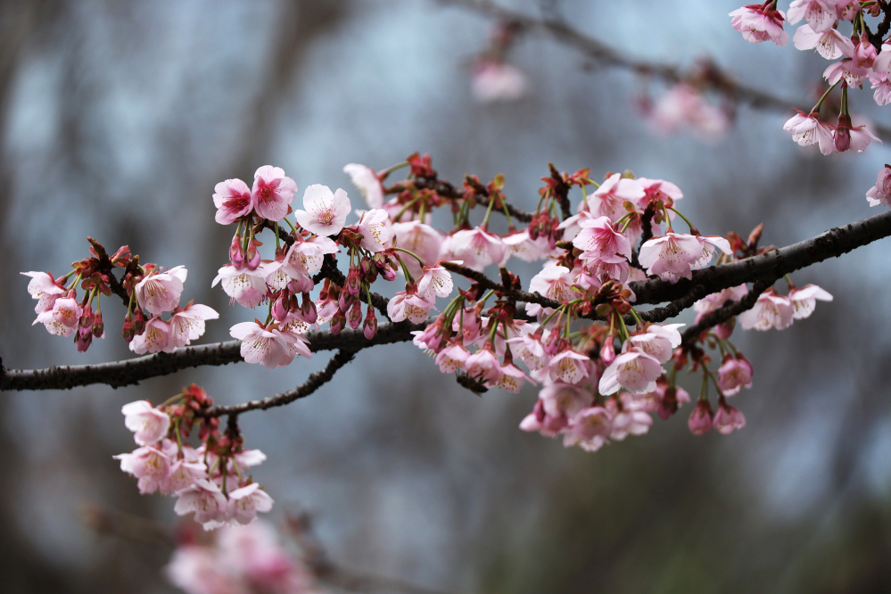 ӣ����԰�����ӣ�����ˣ�