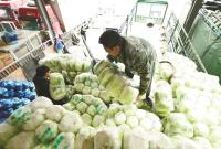 �������ӡ���������