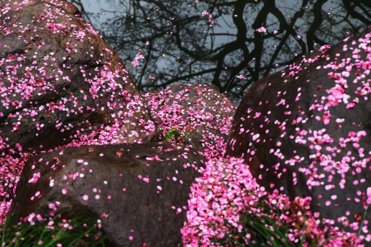 ҹ�������� ����֪����