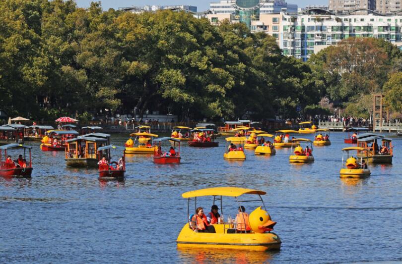 ����������СѼ