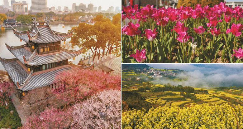 ��ʮ�������������� ���������ͻ���ͼ����