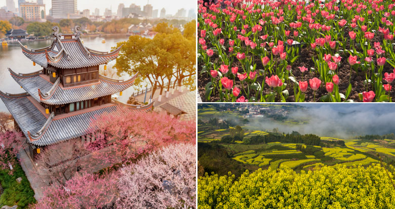 ��ʮ�������������� ���������ͻ���ͼ����