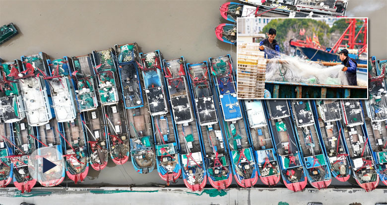 象山近千艘渔船已出海 渔民争捕“新春第一网”