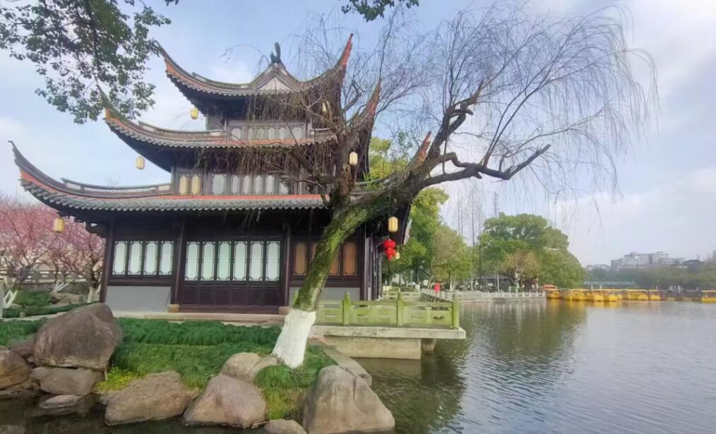 �����º�