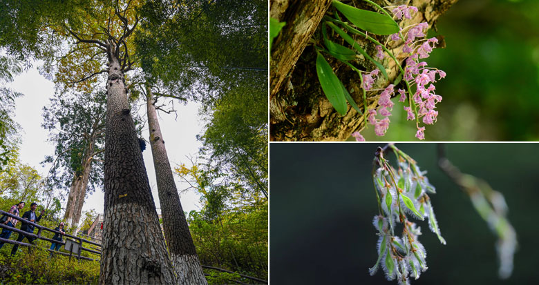 ������ʧ�ġ����顱�ػ����� ����ʱ����ı��ݷ���