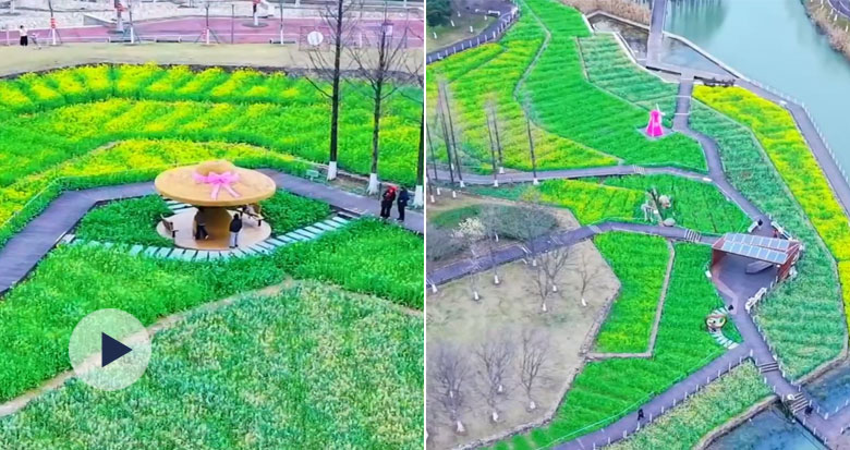 ��̬����̤�� ��1��ƽ���ס���Ͱ�������