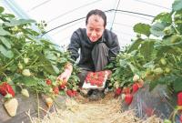 ������ġ���ݮ���԰��