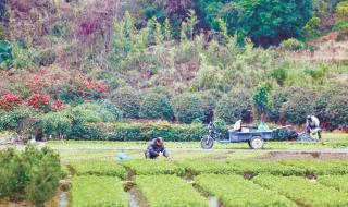 ������ũʱ