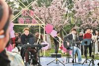 ����������ӣʱ