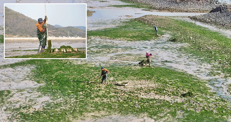 ��ɽ������ӭ����̦��������