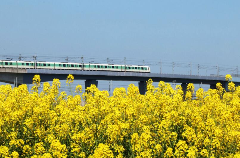 ����������г�