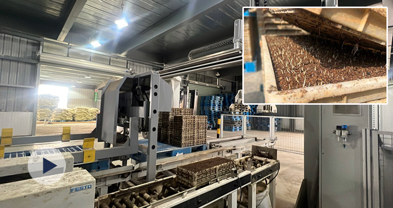 秧苗绘春景 智能“慧”耕忙