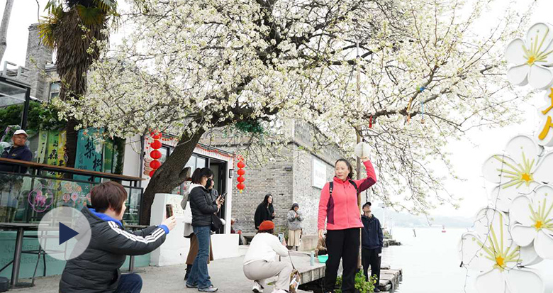 ��Ǯ�������滨��ӭ������ʱ��