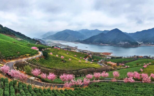 ��ɽӣ����