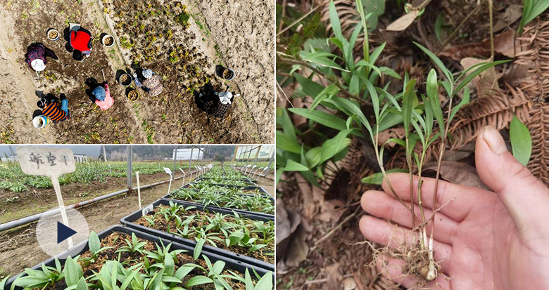 ��̫�յ���� ������ˮ�㱴ĸ�ֳ�"�Ƽ���"