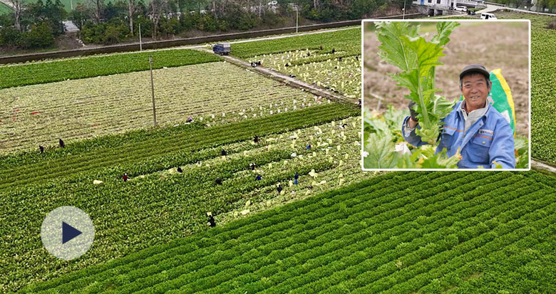 ��Ҧե�˿��� �ɷ��˵Ŀ�������