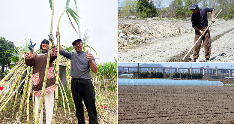 Ƥ�������Ƕȸ� �㶫�����ᱦ������������