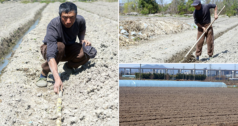 Ƥ�������Ƕȸ� �㶫�����ᱦ������������