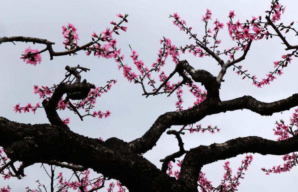 �һ�����