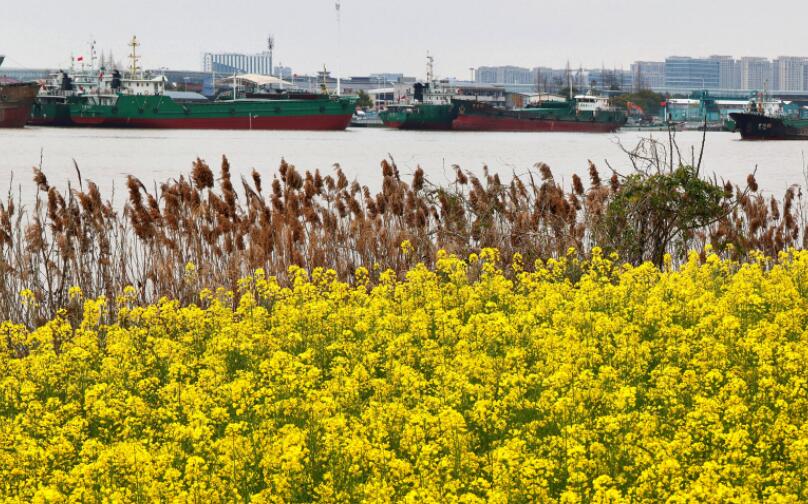 𮽭�����Ͳ˻���