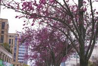 �۱�·�ϵ��Ͼ�������