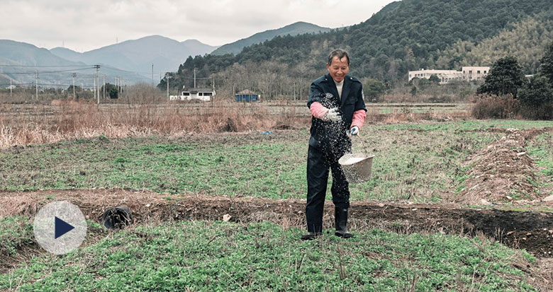 һĨ������ �������ƽ�Ҷ��