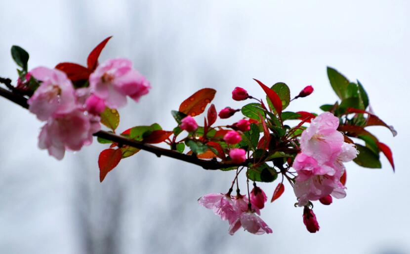 ��˵��ʫ : ����ϧ����